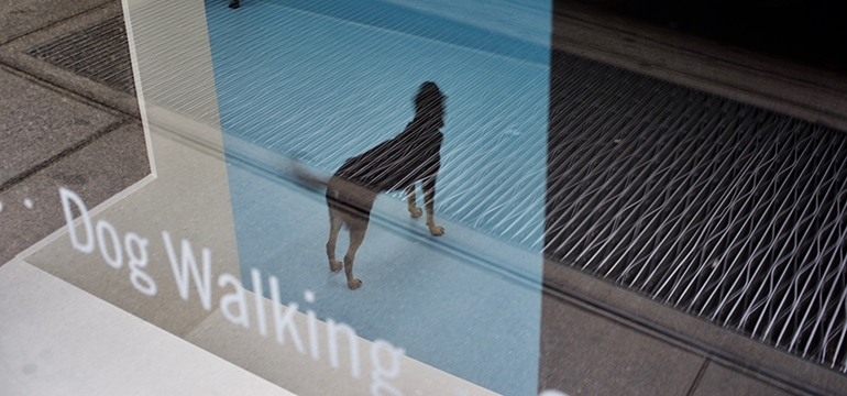 Fotos a l’estil Saul Leiter: BLAU